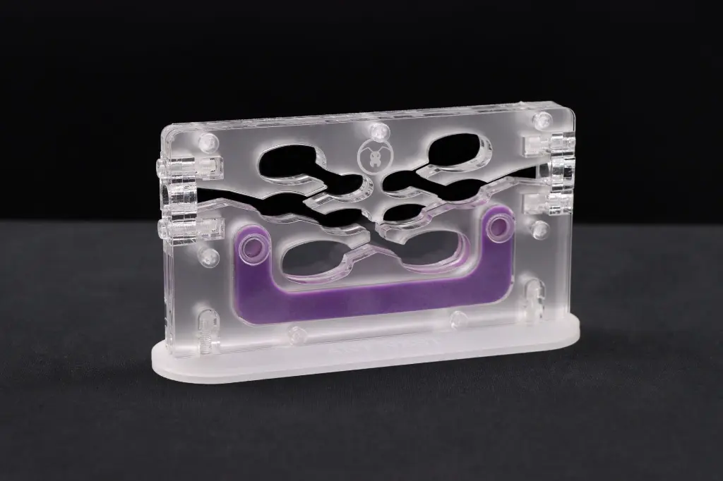 Ant Village Light coté (1).webp