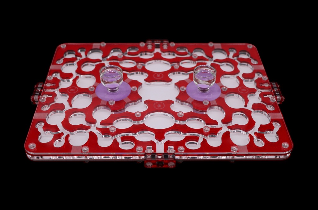 Special Offer: Ant Citadel + Large Hunting Area (Transparent)