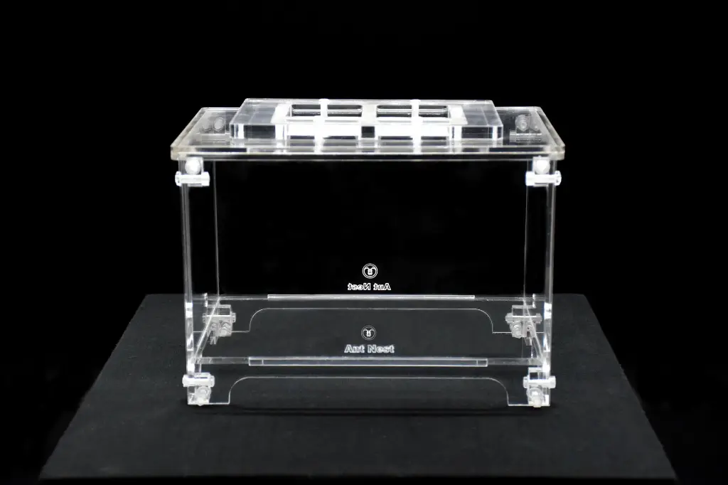 Transparent Foraging Area (Large)