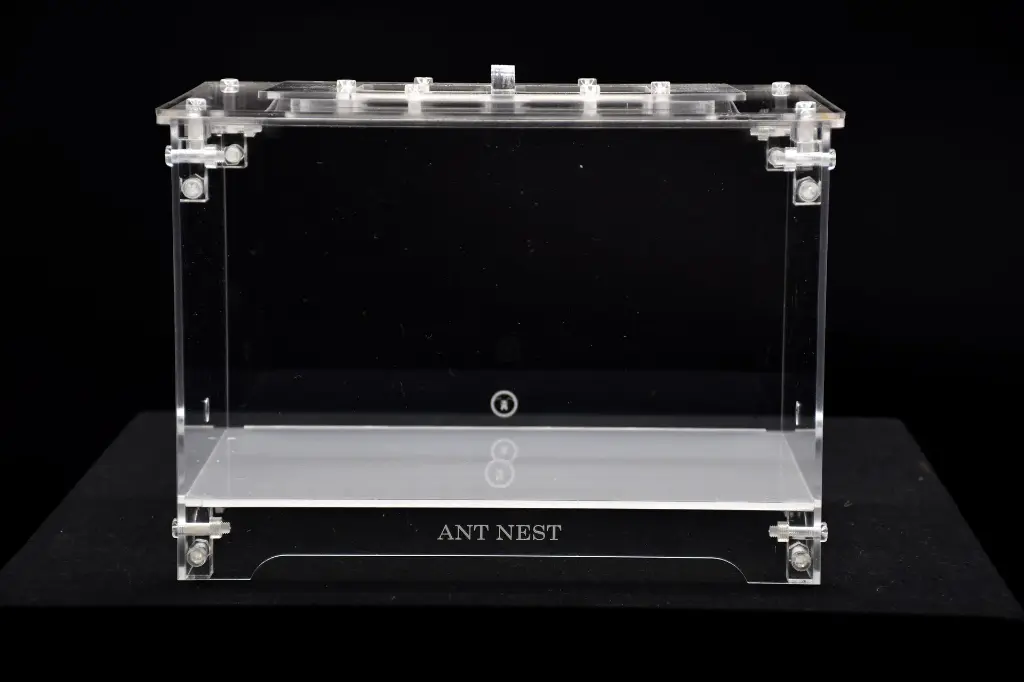 Aire de chasse (Large)