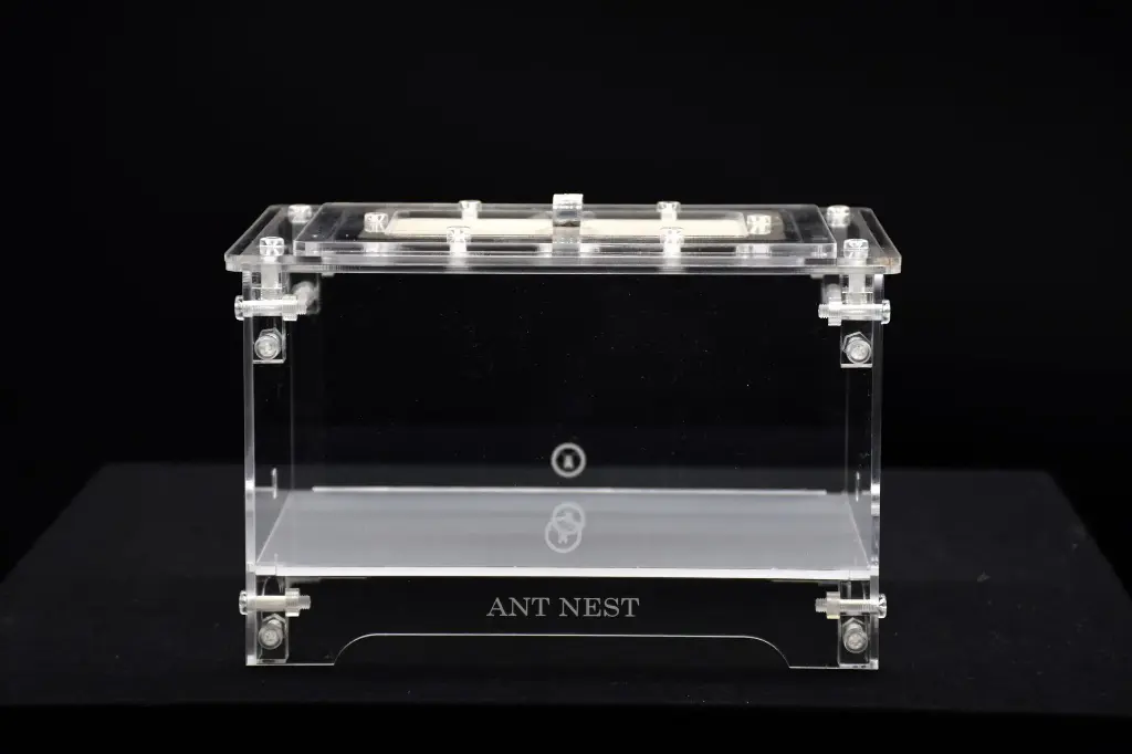 Aire de chasse (Moyen)