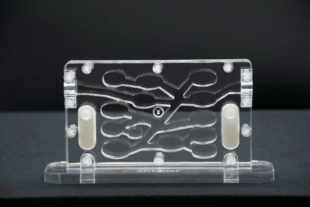 The Old Town (Remis à Neuf)