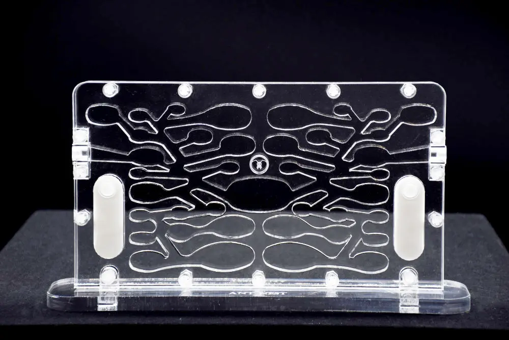 The Old City (Remis à Neuf)