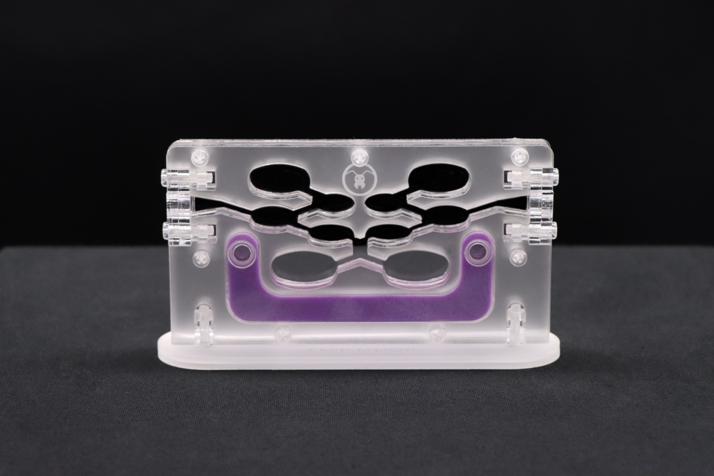 Special Offer: Ant Village + Large Hunting Area (Transparent)