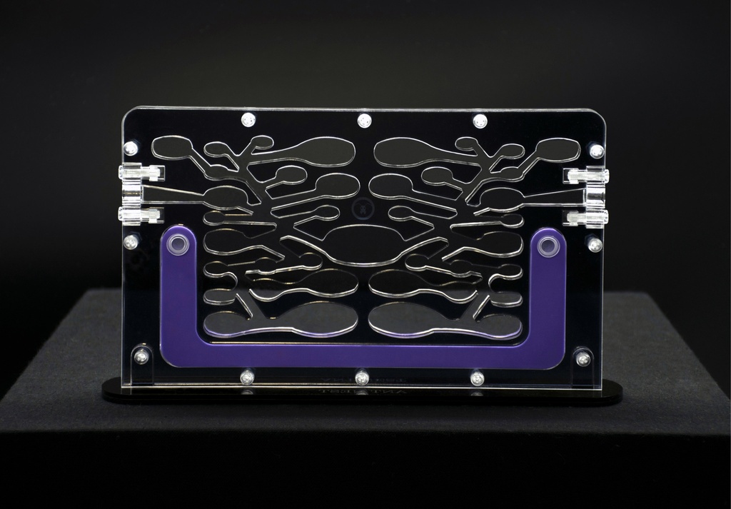 Special Offer: Ant City + Large Hunting Area (Transparent) (Noir)