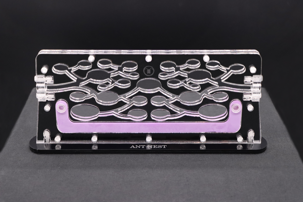 Special Offer: Ant Palace + Large Hunting Area (Transparent)