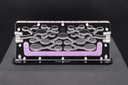 Special Offer: Ant Palace + Large Hunting Area (Transparent)