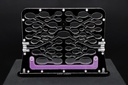 Special Offer: Ant Fortress + Large Hunting Area (Transparent)