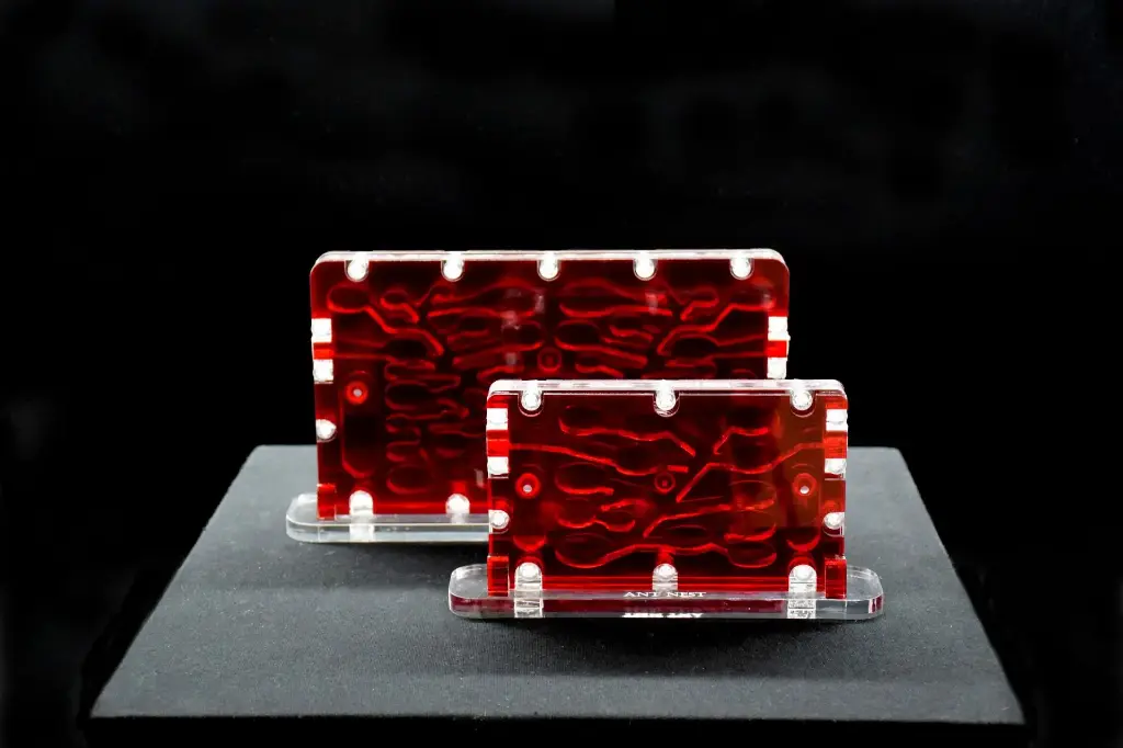 Offre Spéciale The Old Town (Remis à Neuf)+ The Old City (Remis à Neuf) + Grande aire de Chasse Transparente