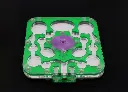 Special Offer: Ant Outpost + Large Hunting Area