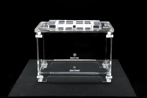 Aire de chasse transparente (Large)