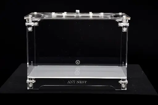 Aire de chasse (Large)