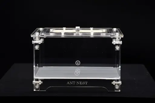 Aire de chasse (Moyen)