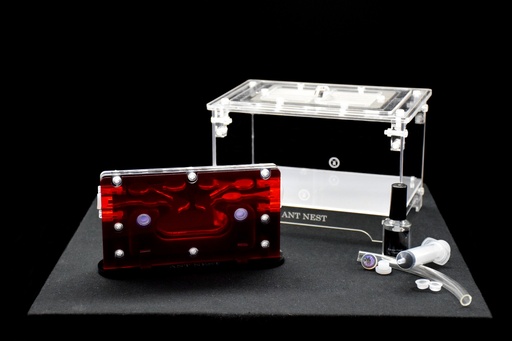 Offre spéciale Ant Village + Grande Aire de Chasse (Transparente)