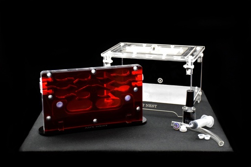 Offre spéciale Ant Town + Grande Aire de Chasse (Transparente)