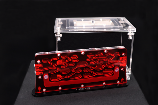 Offre spéciale Ant Palace + Grand Aire de Chasse (Transparente)