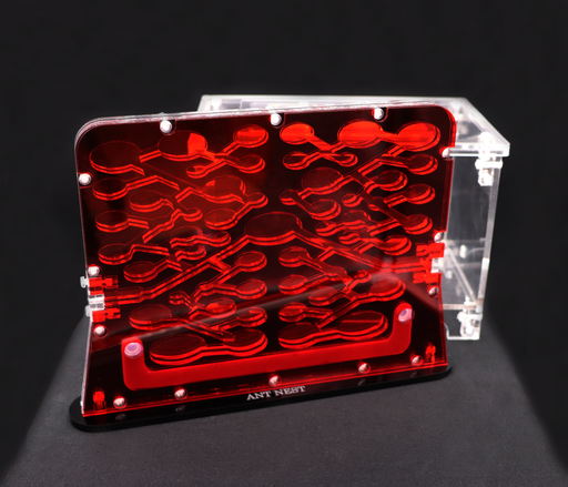 Offre spéciale Ant Forteresse + Grande Aire de Chasse (Transparente)